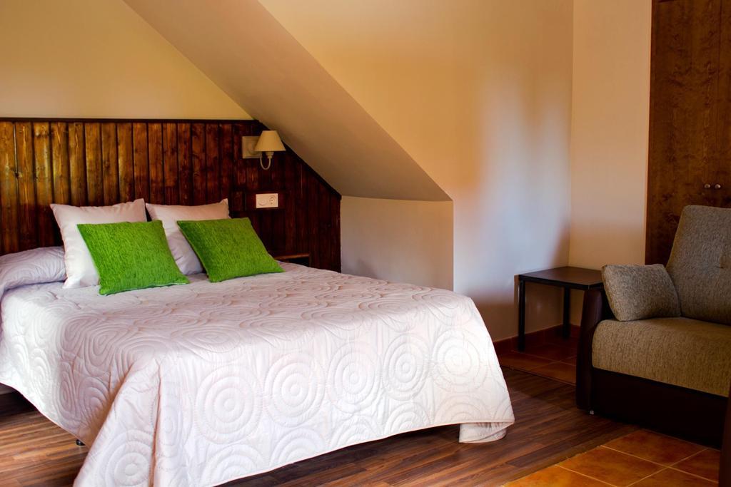 Hotel Y Apartamentos El Camin Po Room photo